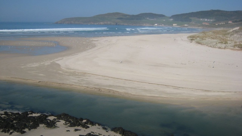 Murió una mujer en A Coruña, había ingresado a una playa contaminada