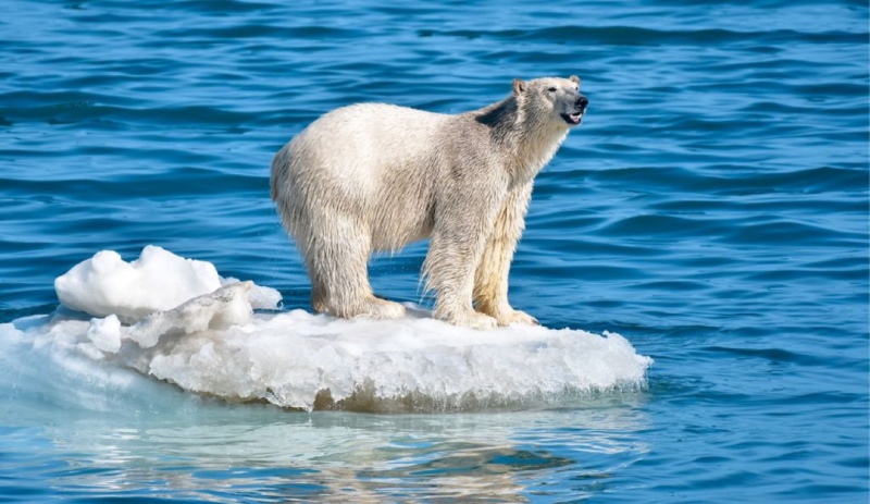 Récord de altas temperaturas en las superficies del océano