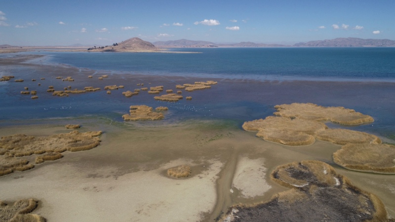 Piden declarar la emergencia en el Lago Titicaca