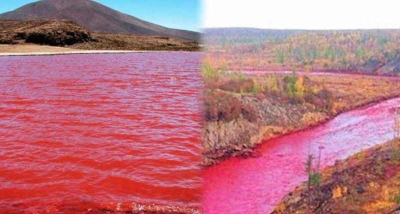 Tremendo: El Río Nilo se tiñó completamente de rojo