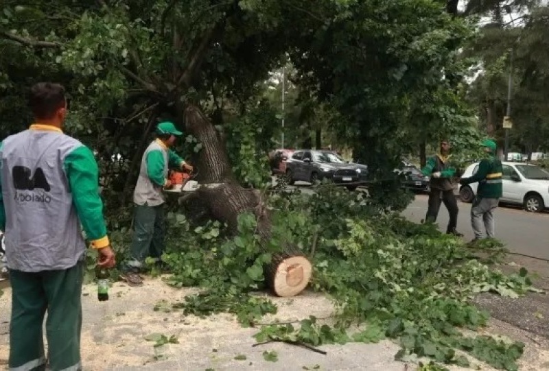 Temporal en Caba: Siguen los operativos en las calles y recomiendan circular con precaución