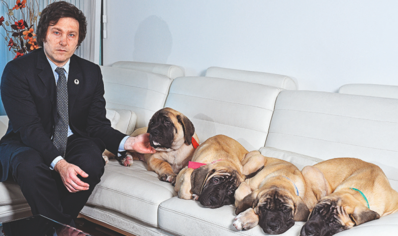 Un laboratorio de Estados Unidos reveló como clonaron a ”Conan” el perro de Javier Milei