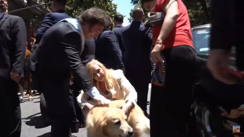 El presidente se bajó del auto para saludar a un perro en pleno recorrido hacia la Casa Rosada