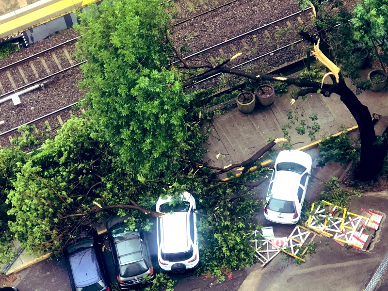 Temporal en Buenos Aires: árboles caídos, autos destruidos y cortes de luz