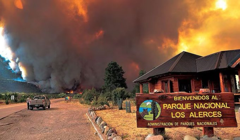 El incendio forestal en el Parque Nacional Los Alerces ya arrasó más de 500 hectáreas