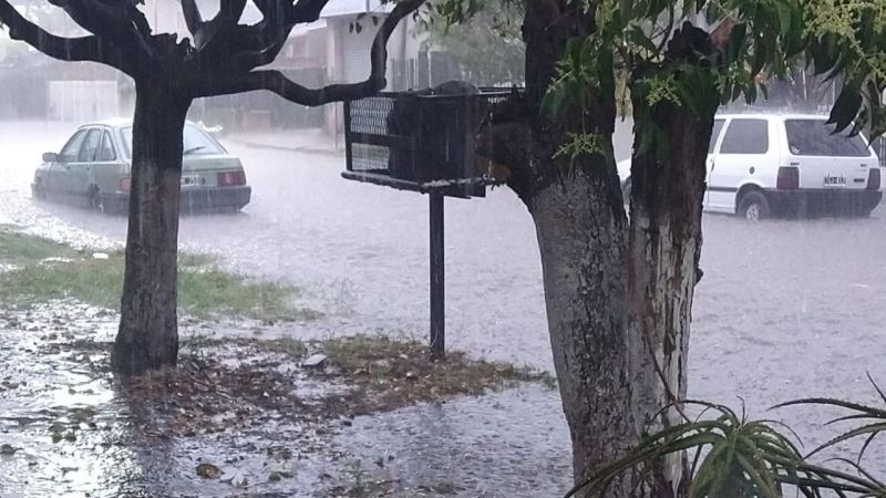 Alertas amarillas por tormentas, lluvias y calor extremo: ¿Qué zonas afecta?