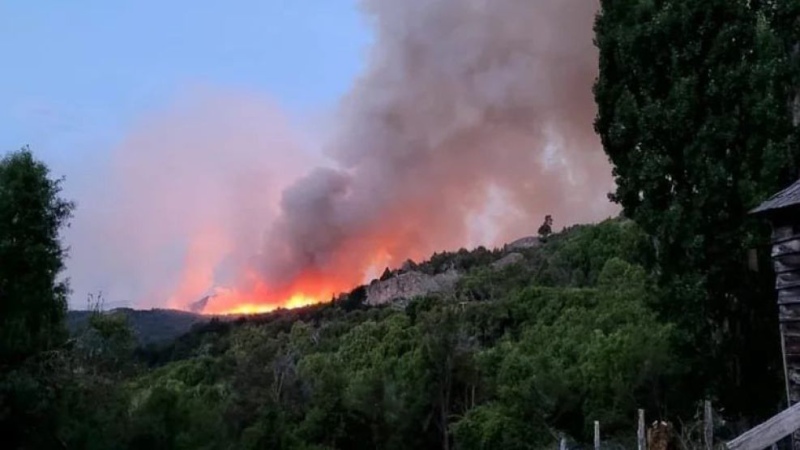 Más de 60 mil hectáreas de áreas protegidas fueron afectadas por incendios