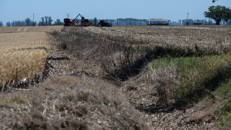 El INTA advirtió el posible regreso del fenómeno climático ”La Niña”