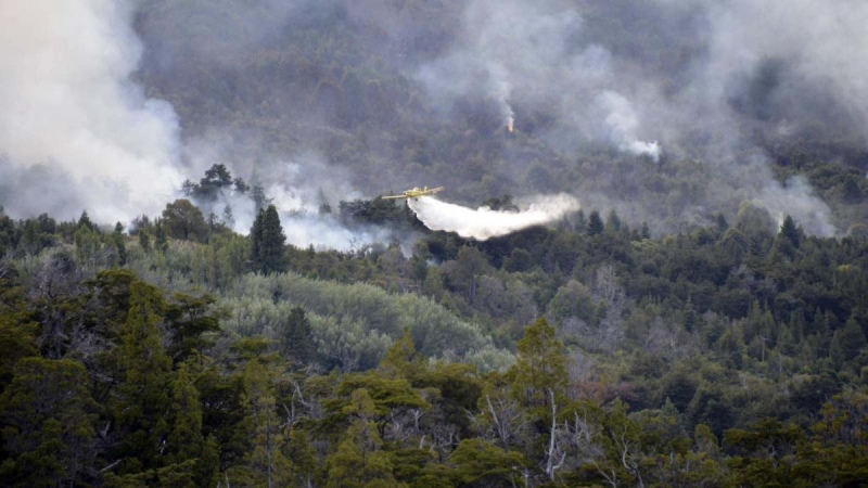 Ya son más de 2800 hectáreas destruidas por el fuego en el Parque Nacional Los Alerces