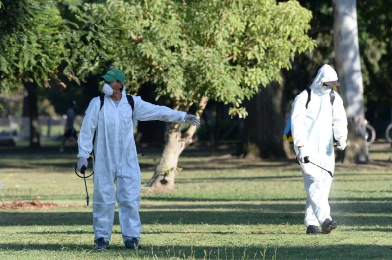 La Municipalidad de La Plata fumigó espacios verdes de ”alta concentración” de mosquitos