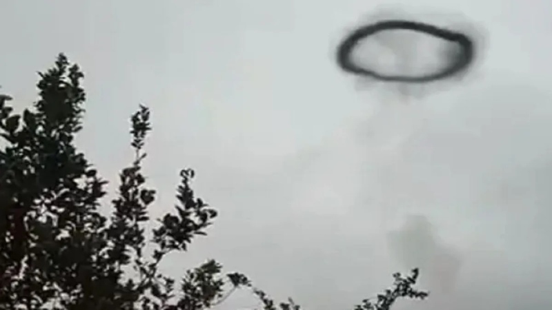 Video: Tremendo aro de ¿mosquitos? en Tucumán