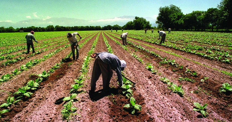 Los trabajadores rurales tendrán un aumento salarial del 12% en marzo