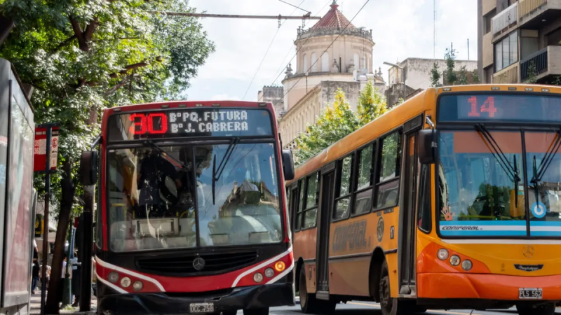 Paro de colectivos en el AMBA: ¿Qué líneas no prestan servicios?