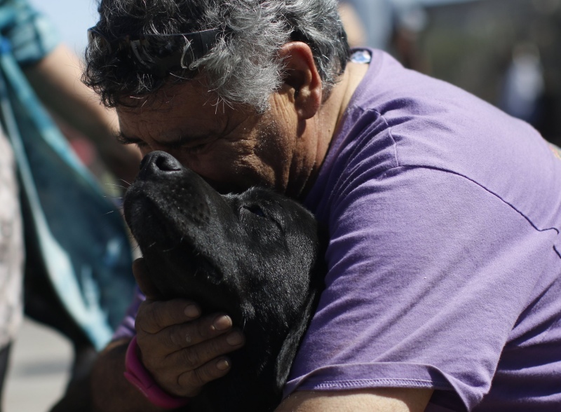 Licencia laboral por muerte de una mascota: Chile ya tiene el proyecto de Ley