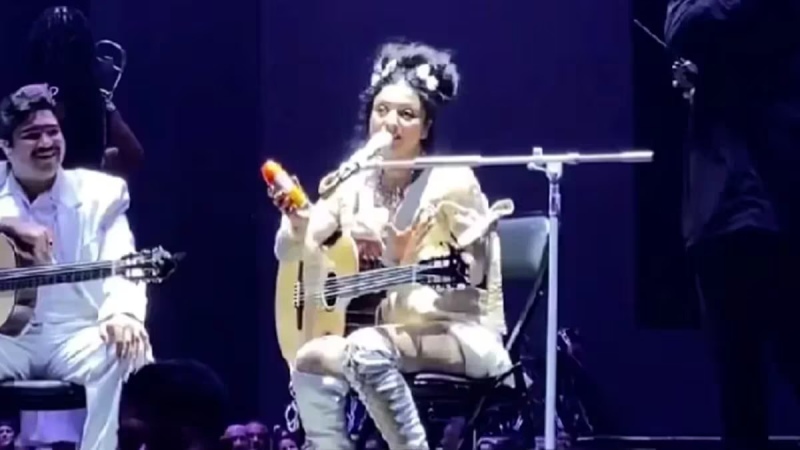 Mon Laferte tuvo que parar su show por la invasión de mosquitos