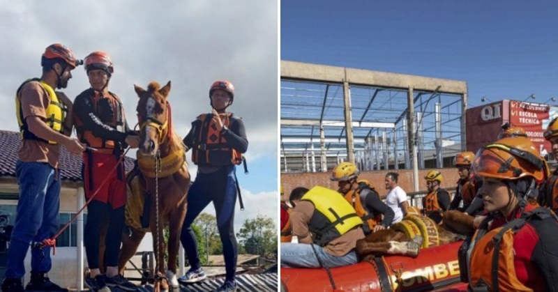 Inundaciones en Brasil: Así fue el épico rescate del caballo que quedó atrapado en un techo