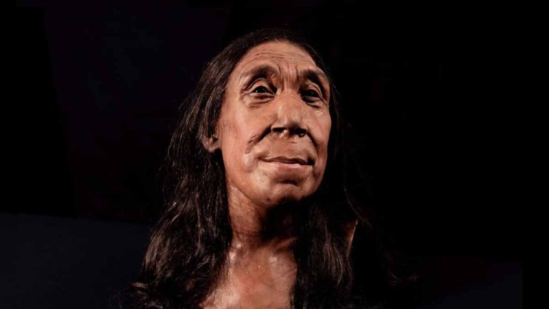 Tremendo: Reconstruyeron el rostro de una neandertal que vivió hace 75.000 años