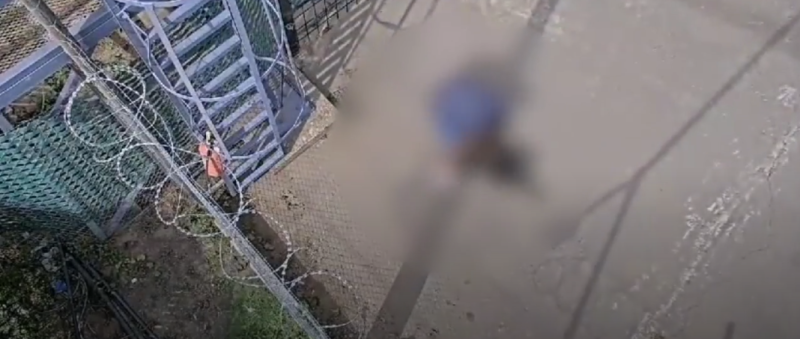 Horror en Córdoba: imputaron a un falso veterinario por matar a un perro