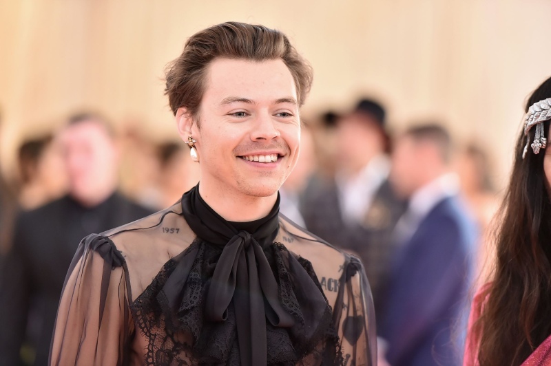 Harry Styles debuta como diseñador y presenta ”Pleasing”: ropa, arte y mucho estilo