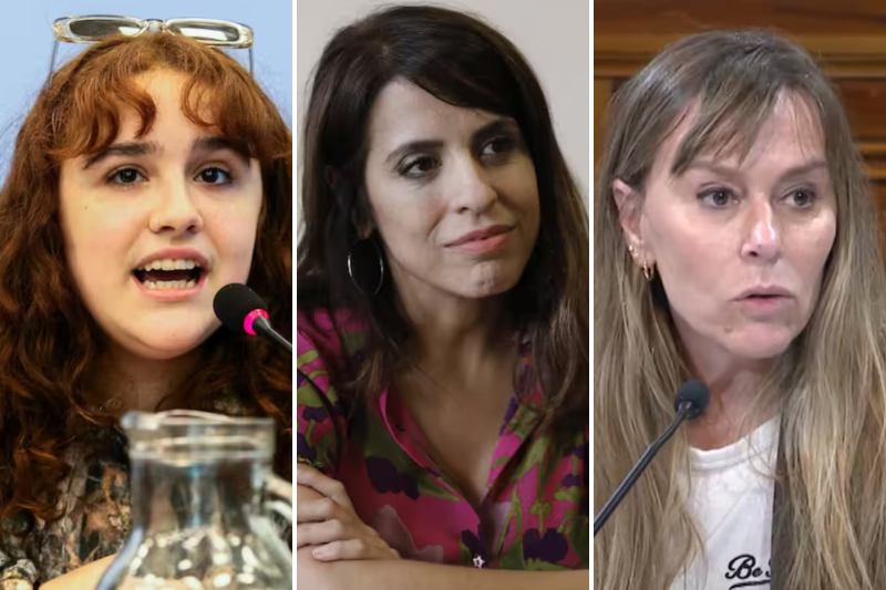 El fuerte cruce entre Ofelia Fernández y otras figuras del kirchnerismo sobre la denuncia contra Alberto Fernández