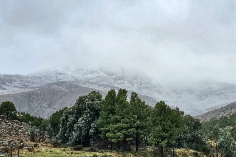 Fotos y videos: Sierra de la Ventana bajo la nieve