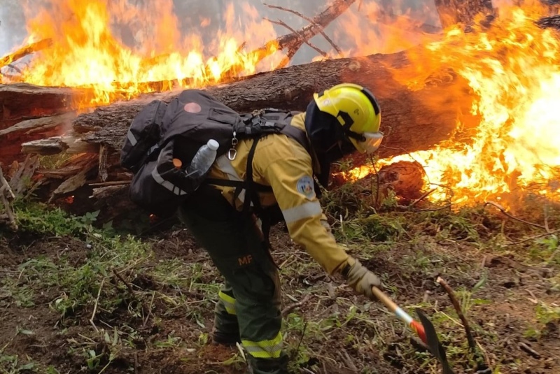 Incendio forestal sin precedentes en Neuquén