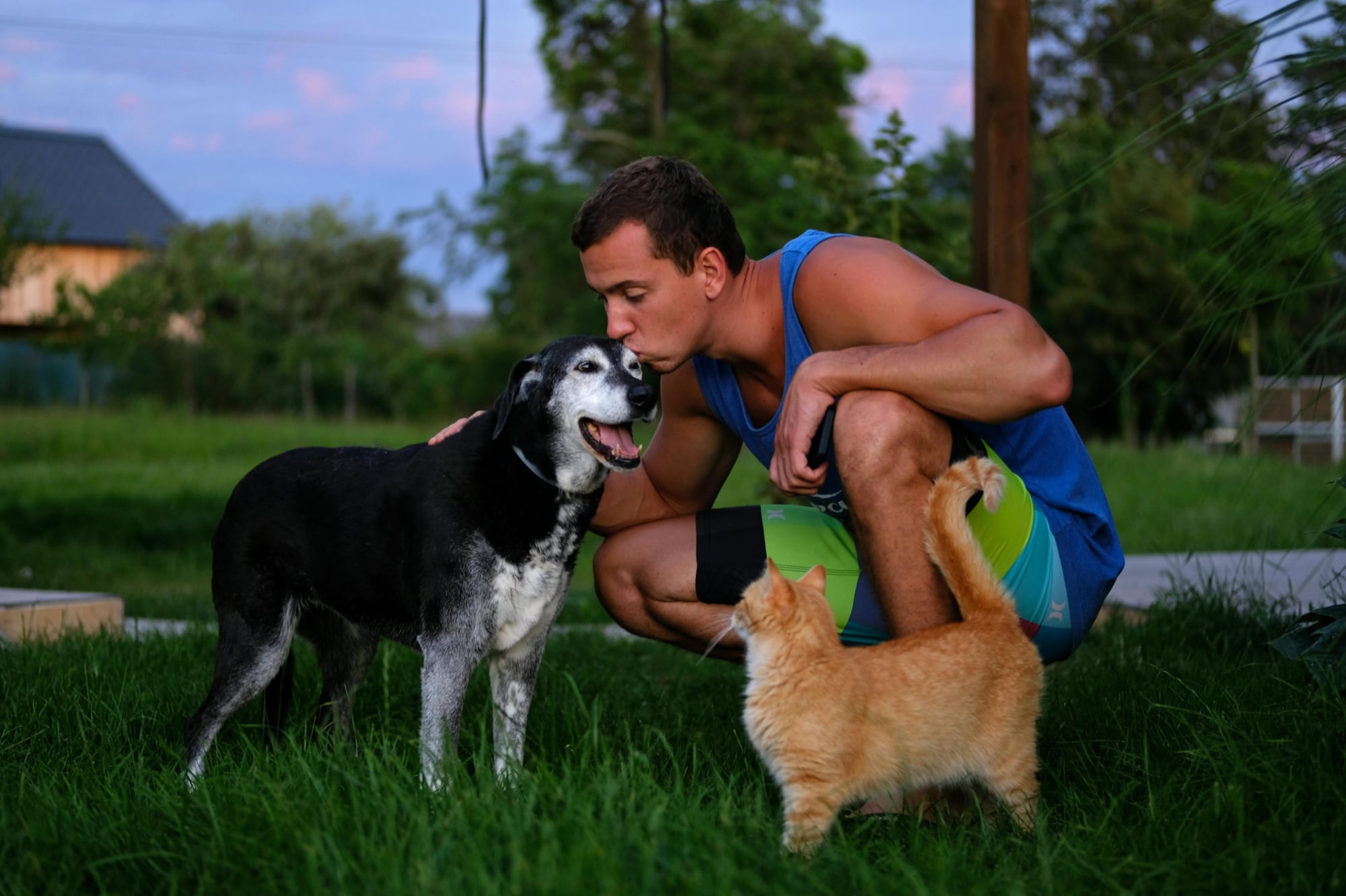 ¿Por qué le hablamos a las mascotas como si fueran nuestros amigos?